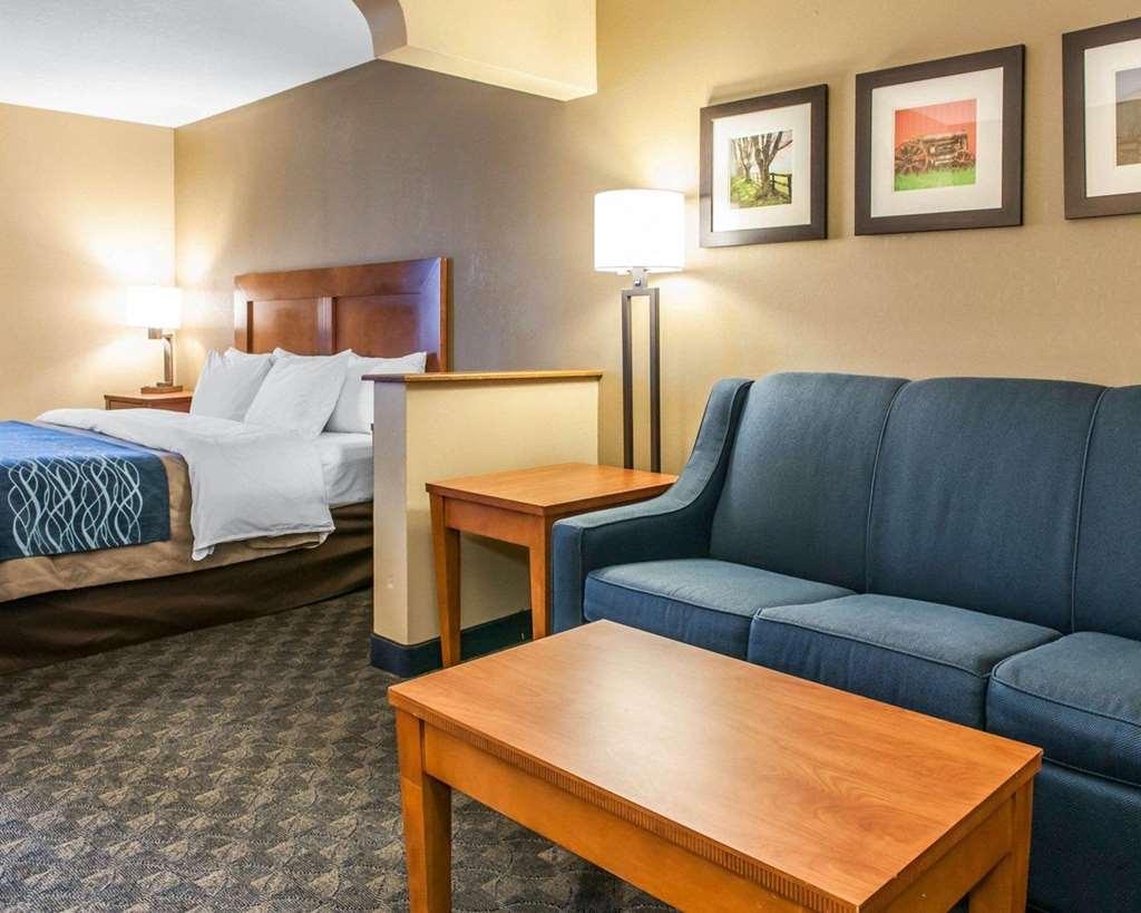 Comfort Inn & Suites Napoleon Habitación foto
